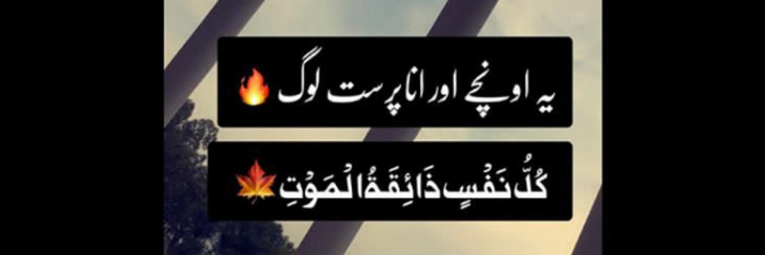 True Pakistani banner
