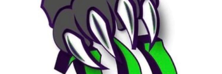SC_Wolverines's profile banner image