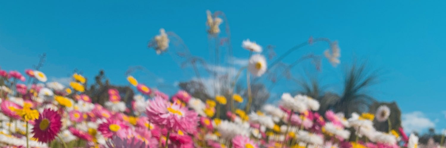m1025mm's profile banner image