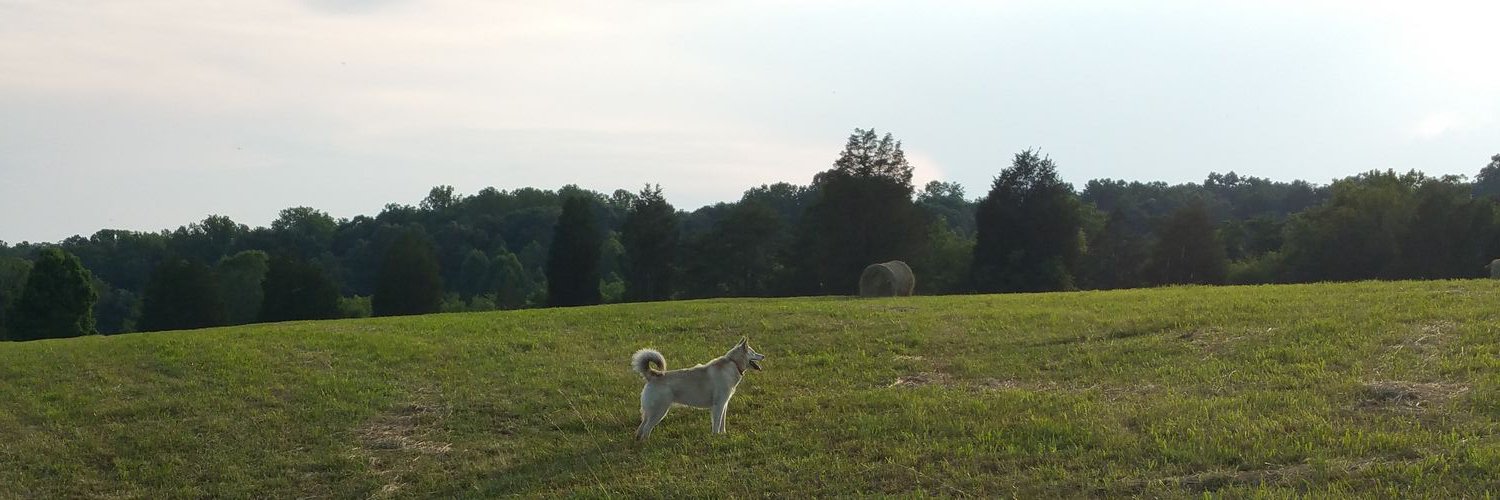 TrevisGardner's profile banner image