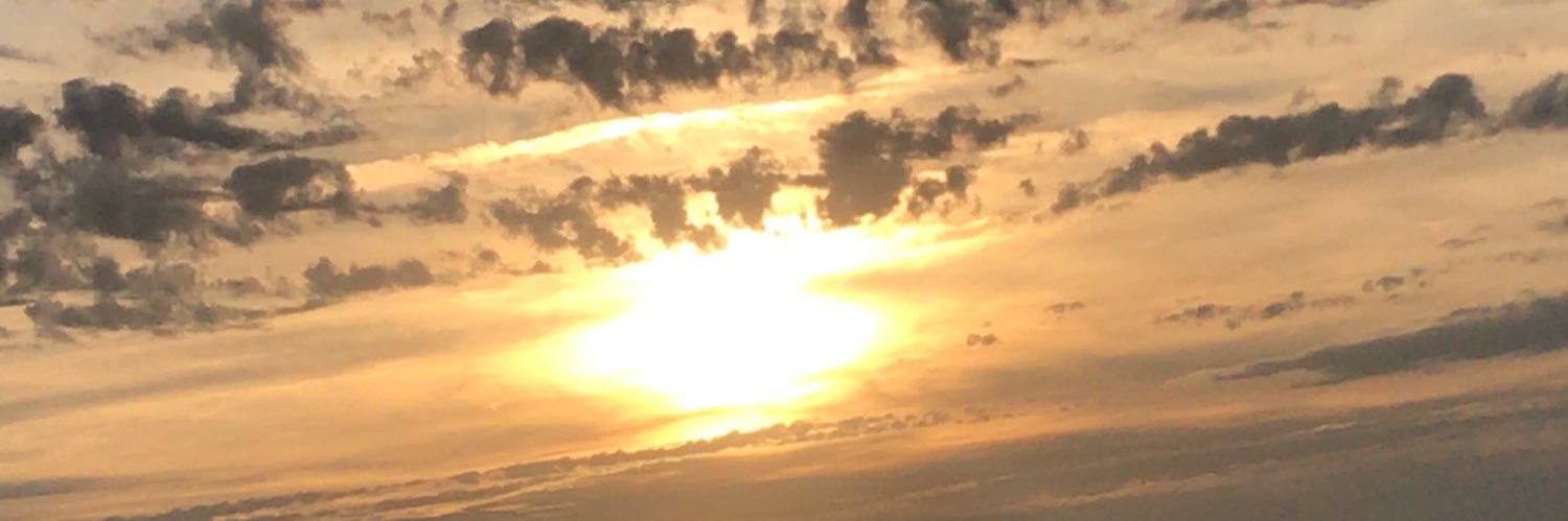 bianchini_teo's profile banner image