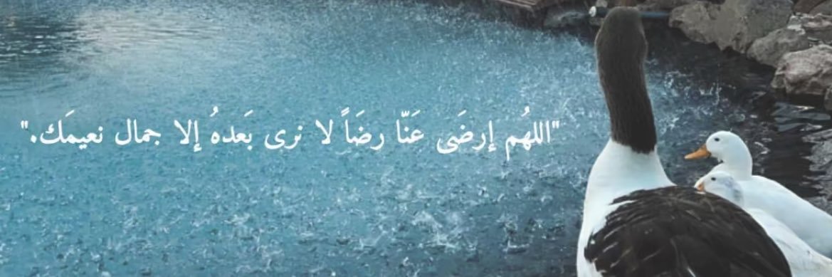 mariam10a's profile banner image