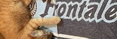 351micochi's profile banner image