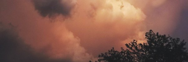 ayoaimee Profile Banner