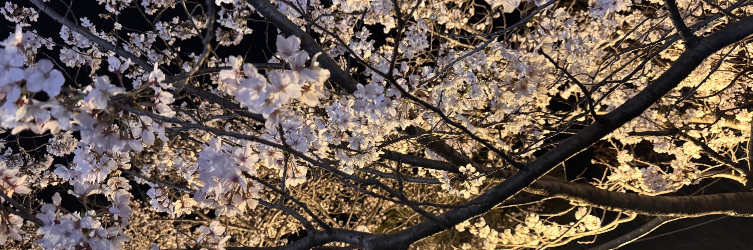 06mg02's profile banner image