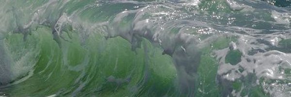 Rakaacho Profile Banner