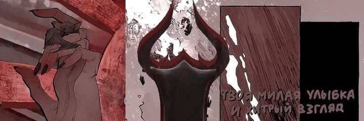 Caseyla banner