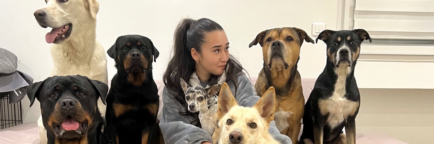 TessaPcd's profile banner image