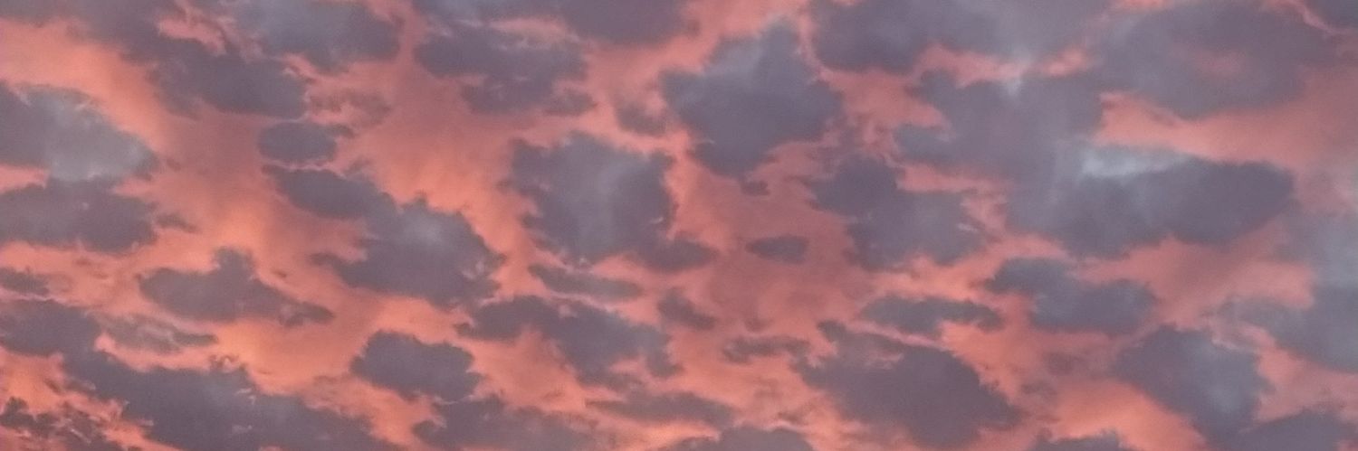 noramassip's profile banner image