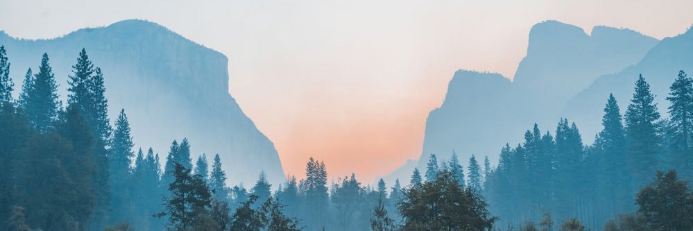 CryptoChad007's profile banner image