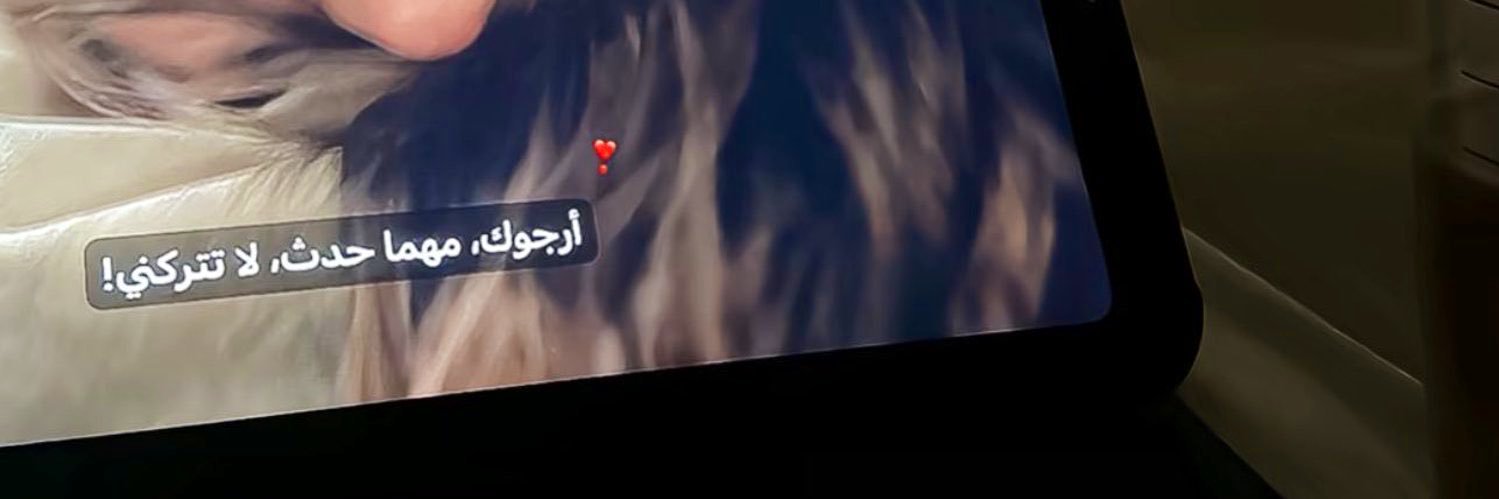 🐾 banner