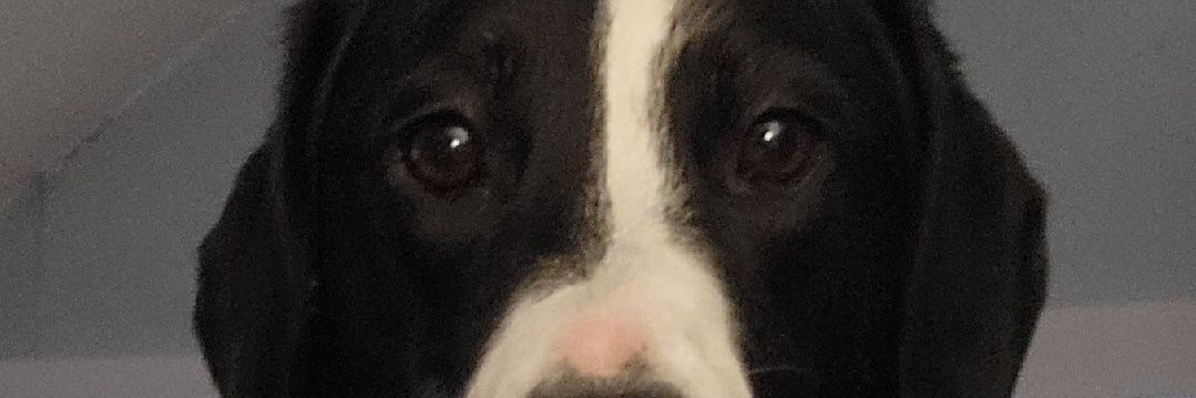 baileymabc's profile banner image