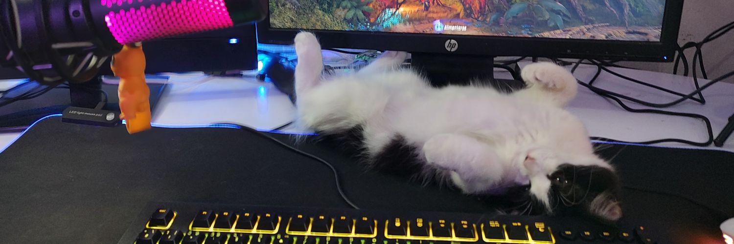 dm_Palomeque's profile banner image