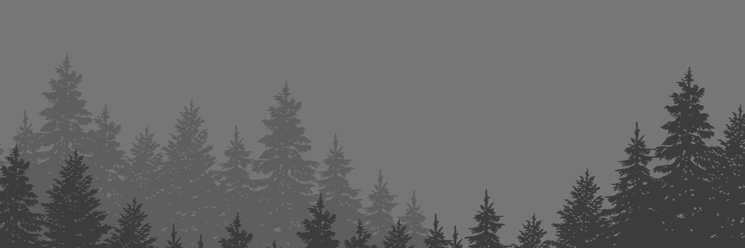 skezynft's profile banner image