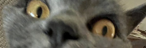 Slepychu Profile Banner