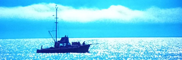 edvicsrichh Profile Banner