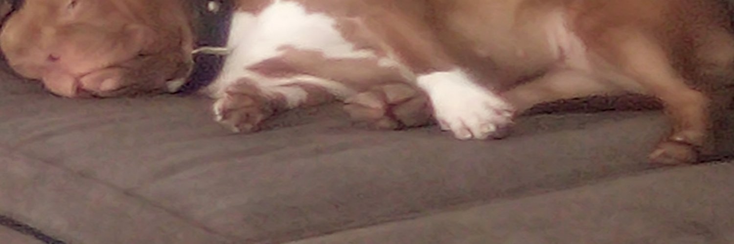 stefoh's profile banner image