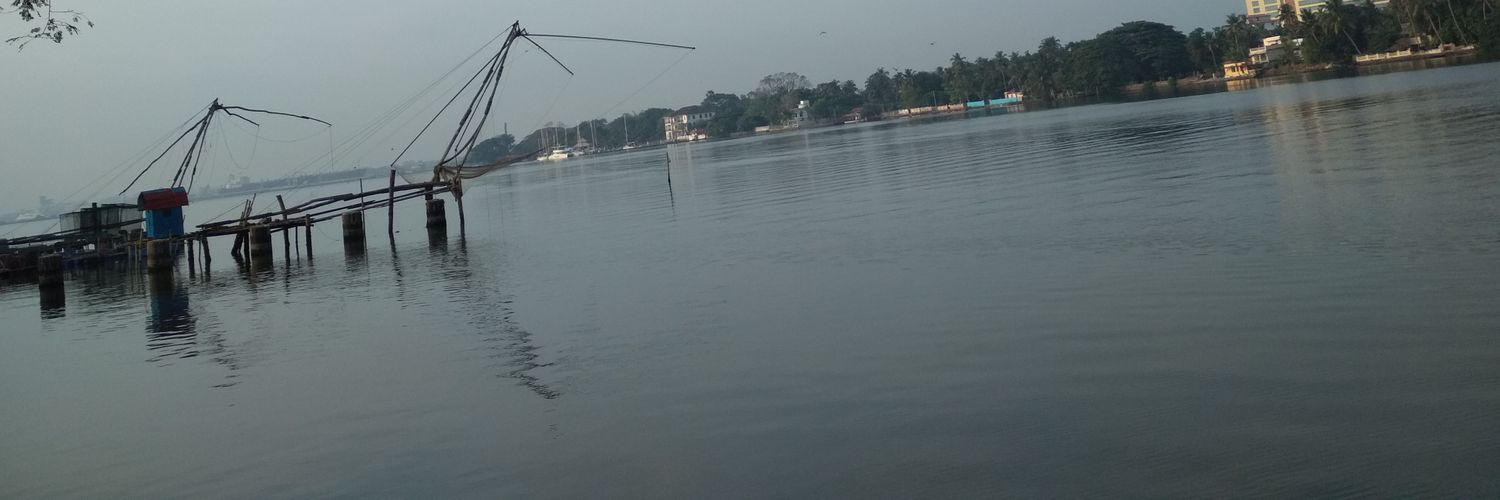 thekochipost's profile banner image