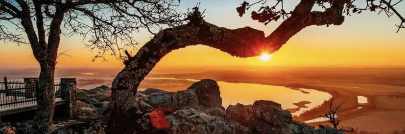 Junk Yard Hog 🐗 banner