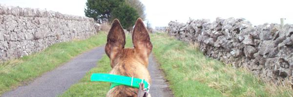 porkys22 Profile Banner