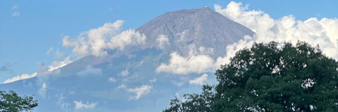 免费ai脱衣换脸→主叶 banner