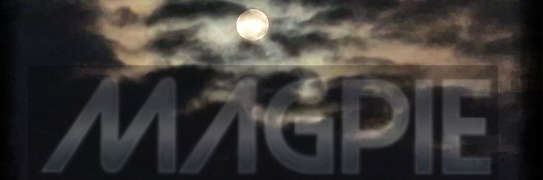 MagpieGazzT's profile banner image