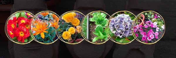 IOweYouNathan Profile Banner
