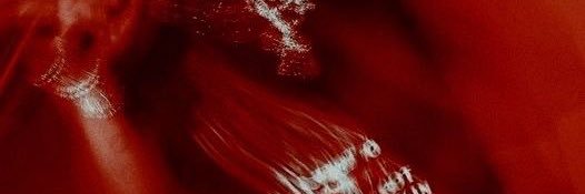 wxdamonn's profile banner image