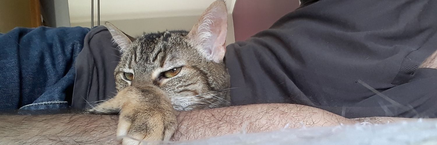 CatIsBack7's profile banner image