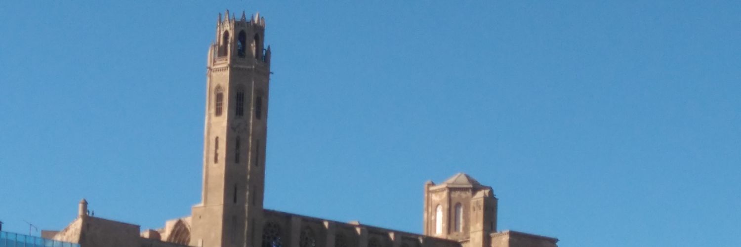 mjagvs's profile banner image