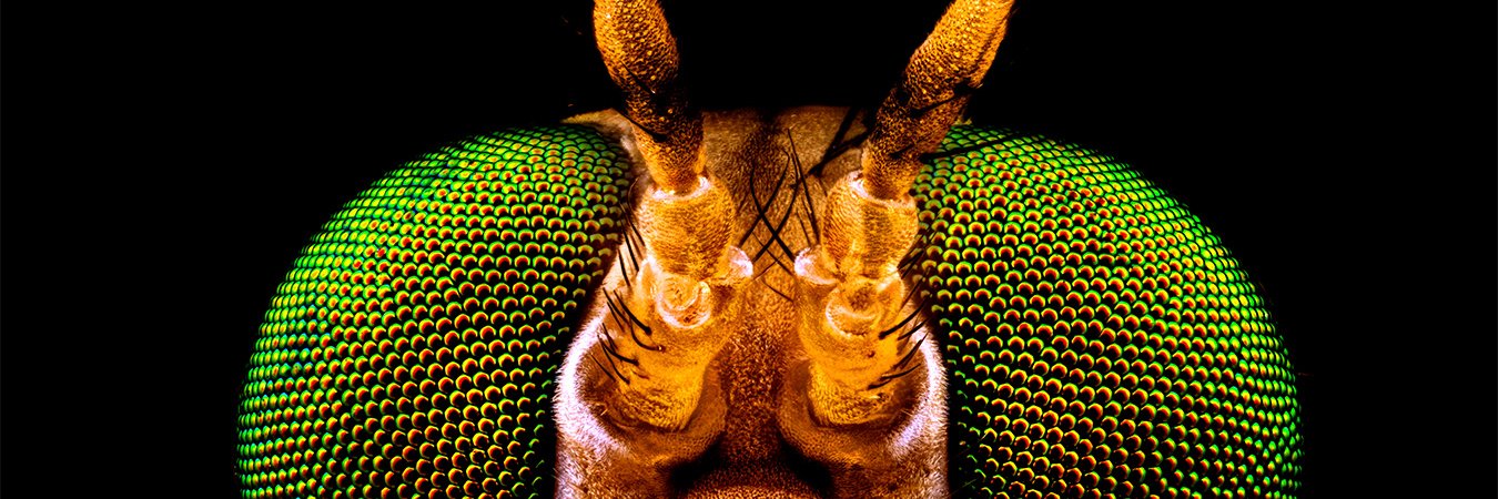 drsaidl's profile banner image