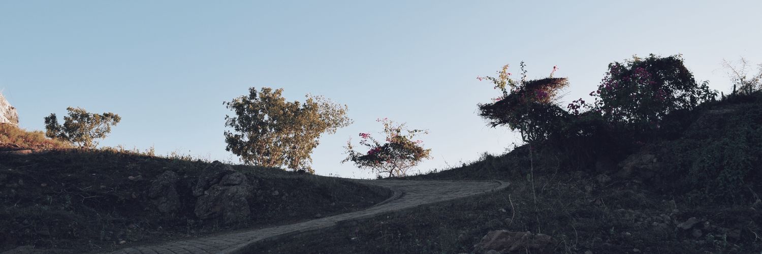amainante's profile banner image