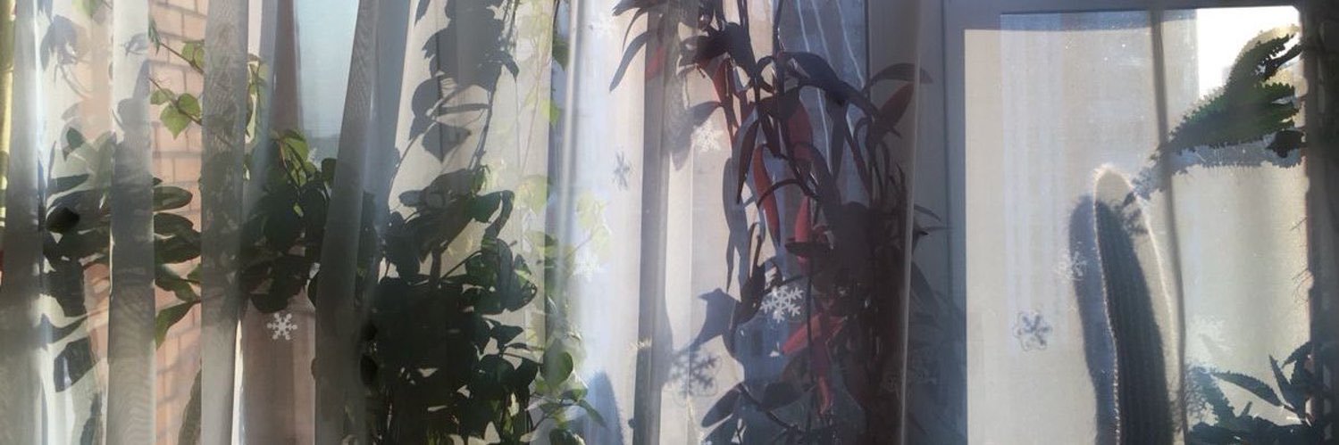 مينجو banner