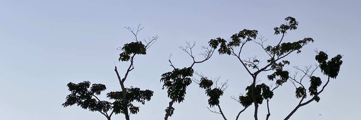 fay_theee's profile banner image