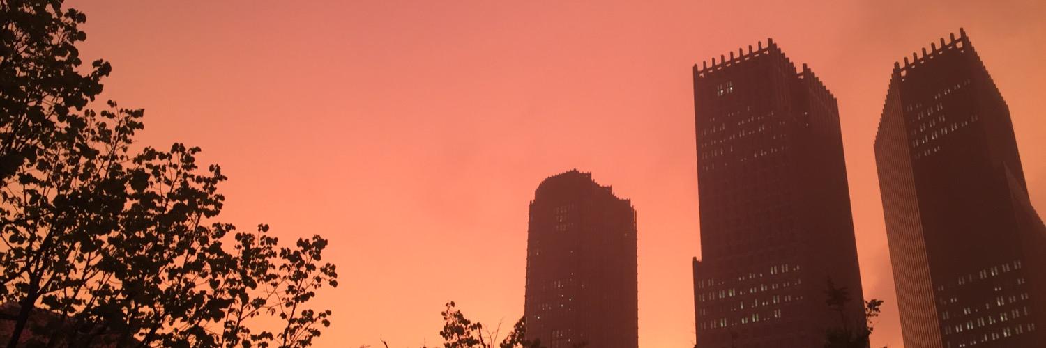 Judith Honig (judithhonig op Bluesky) banner