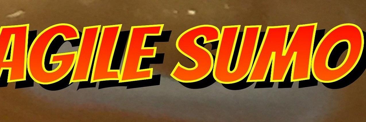 AgileSumo's profile banner image