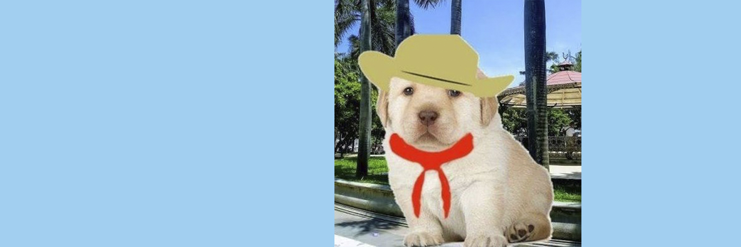 danymein's profile banner image