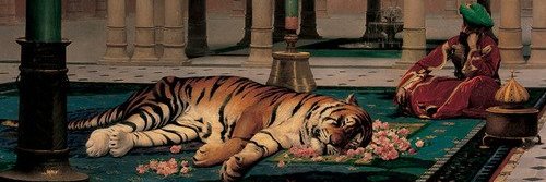 Thomas79573695's profile banner image