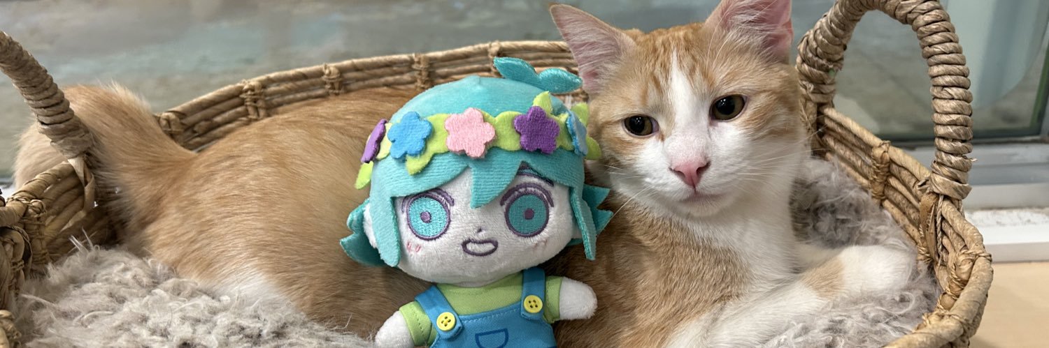 cookie's banner