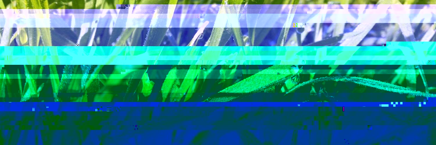 Momchil Karabulev banner