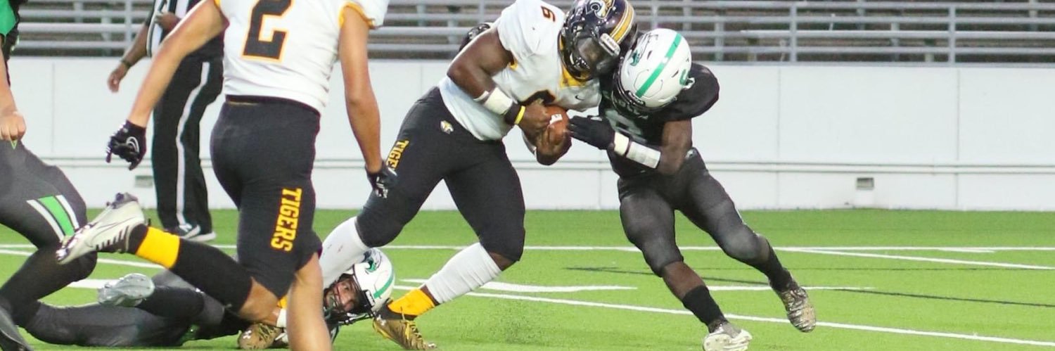 Nazari Williams banner