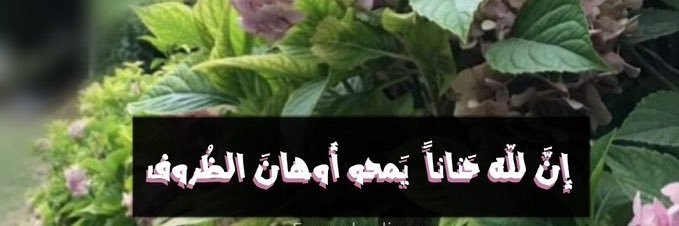 entesar_eisa's profile banner image