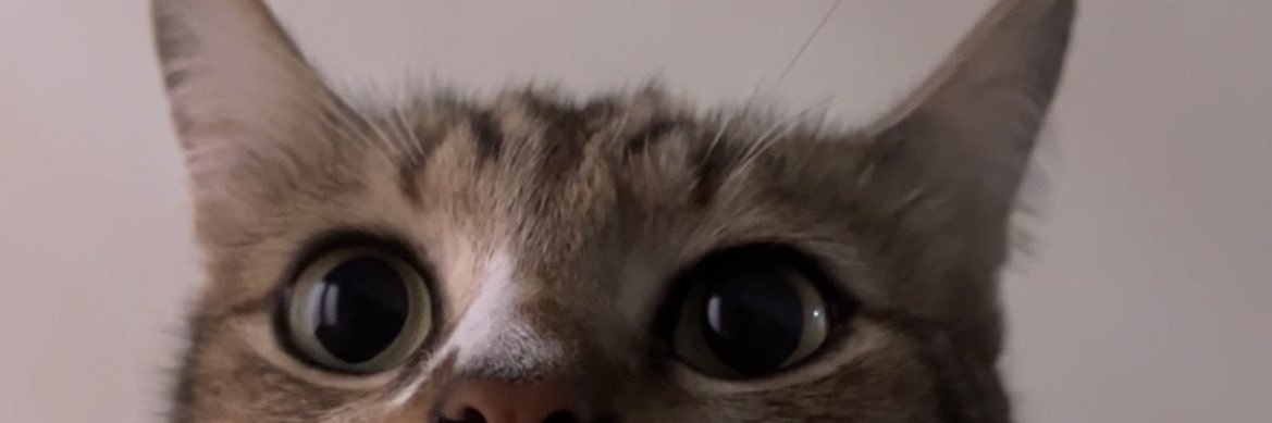 raw banner