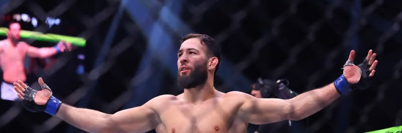 Le N 🇫🇷 banner