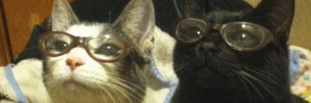 ozzy banner
