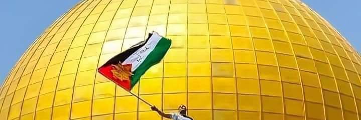 هاڤ banner