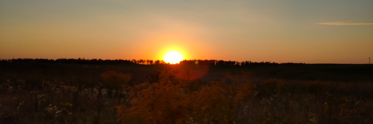 robin_gor's profile banner image