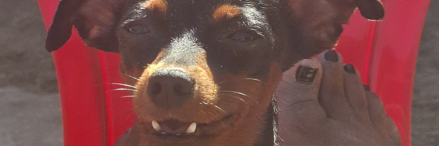 Elilim0's profile banner image