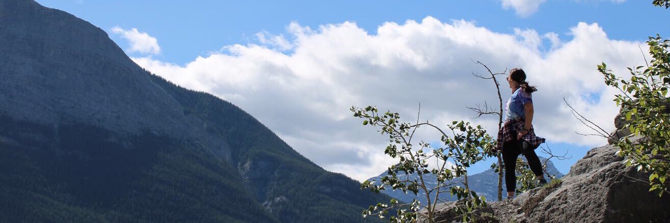 alihalbert's profile banner image