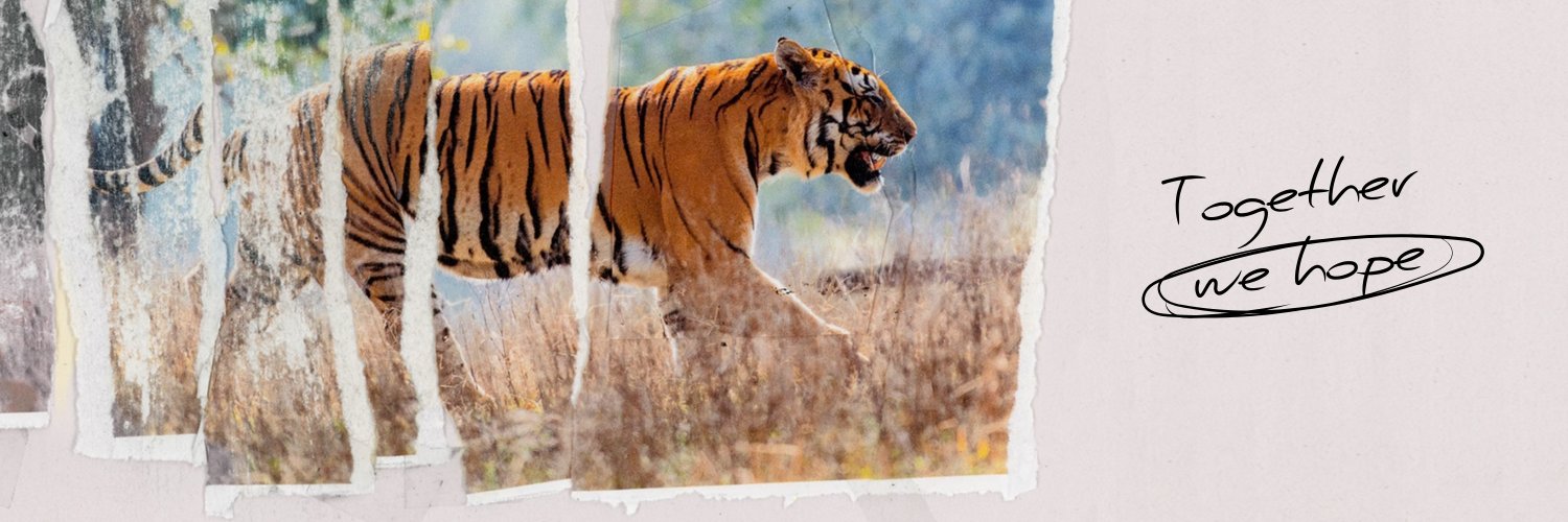 WWF's profile banner image